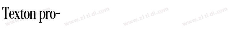 Texton pro字体转换